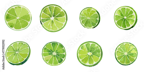 Vector illustration of multiple sliced limes in watercolor style