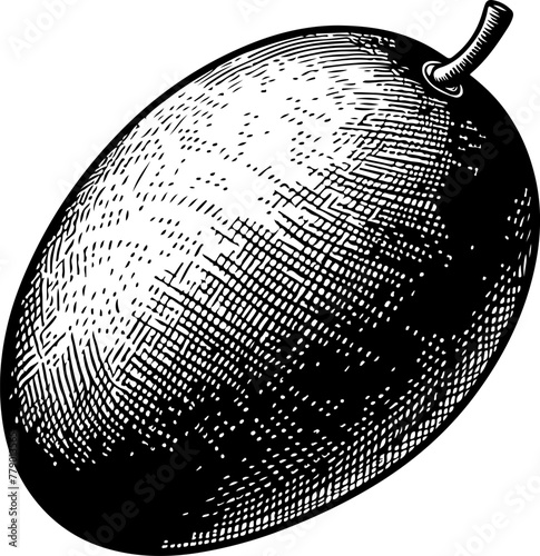 Mango fruit black outline illustration.