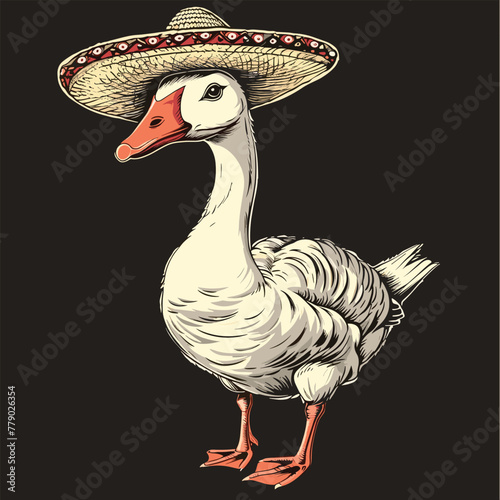  A goose in a sombrero, artistic against dark.
