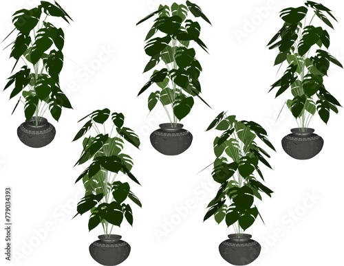 vector design sketch illustration of a beautiful, broad-leaved ornamental plant in a pot for home interior decoration