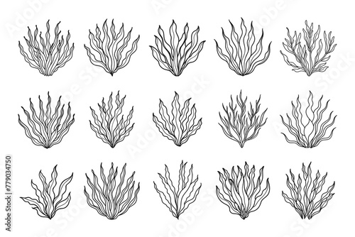 Set of algae or coral reefs. Collection of underwater plants. Set of seaweed icons. Sketch, illustration. Vector © Tatiana