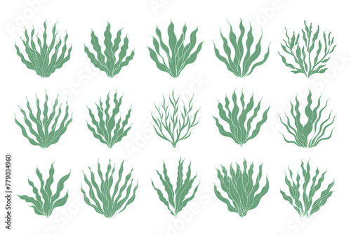 Set of algae or coral reefs. Collection of underwater plants. Set of seaweed icons. Illustration. Vector