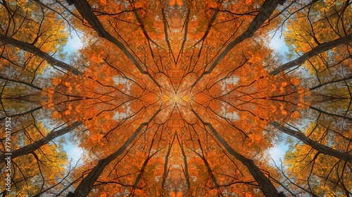 autumn forest kaleidoscope background with orange trees. 