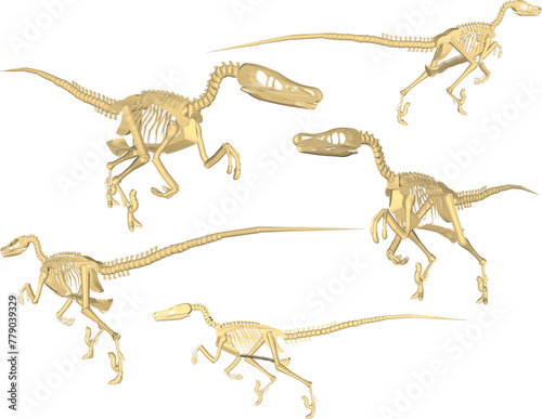 vector design sketch illustration of carnivorous velociraptor dinosaur skull skeleton