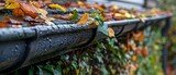 Autumn Leaves Clogging Gutter in Rain, Water Flow Issue. Concept Gutter Maintenance, Autumn Cleanup, Rainy Day Problems