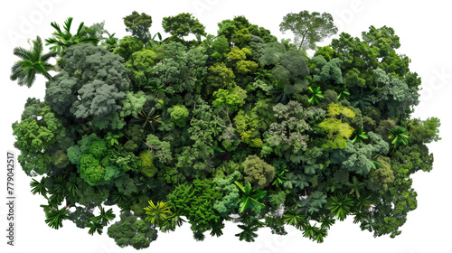 Diverse Rainforest Canopy Aerial View - Isolated on White Transparent Background, PNG
