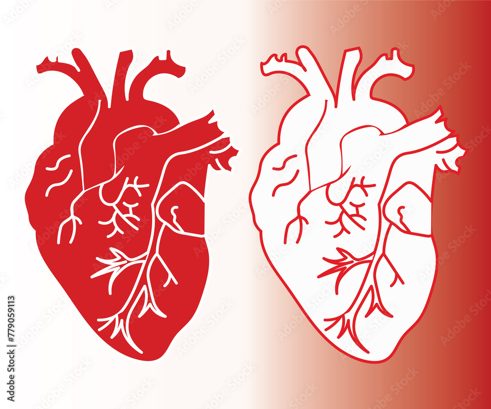 heart 1 heart 1