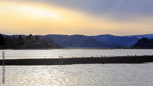 Spring in Norway, sunset at Trondheim fjord and river Gaula photo