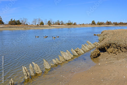 Spring. West Meadow Wetland Reserve, Stony Brook, New York, United States