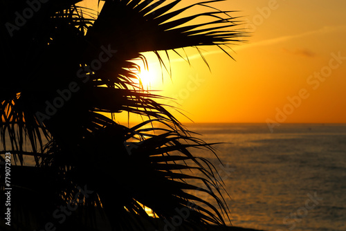 Salida del sol en el mar entre palmeras