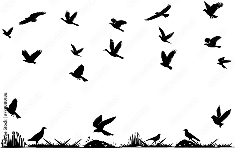 silhouette flock of flying birds silhouette flock of flying birds