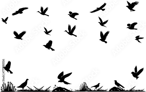 silhouette flock of flying birds