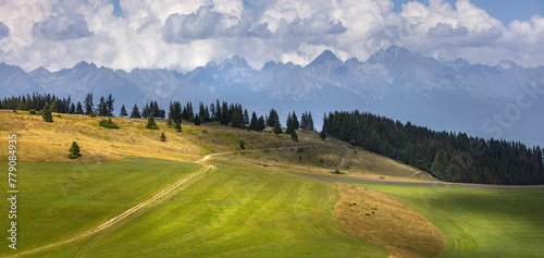 meadows with High Tatras