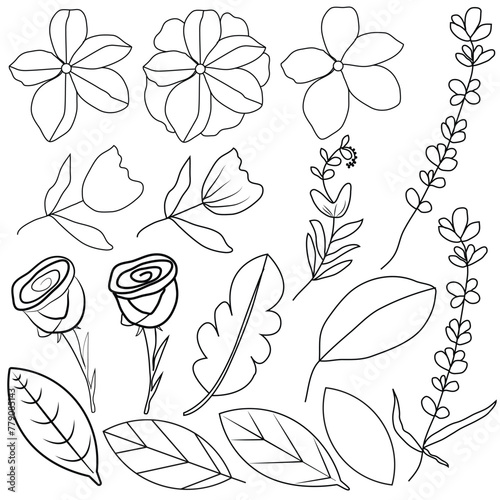 Floral Pattern: Botanical Design