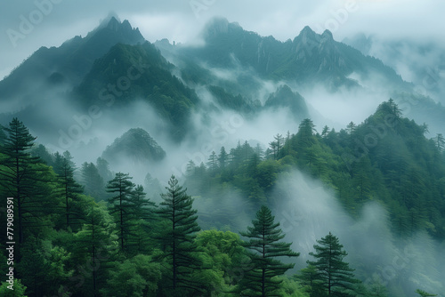 Mount Huangshan in the mist  Huangshan National Park  China