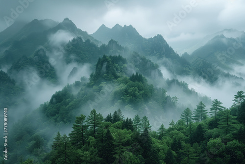 wooded mountain landscape with fog in Huangshan National Park, China