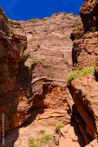 The sandstone gorge known as the Garganta del Diablo, or Devil's Throat, in the Quebrada de las Conchas, or Quebrada de Cafayate, Salta Province, northwest Argentina.