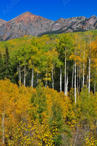 Fall colors surrounded by the Rocky Mountains near the Kebler Pass mountain road, on the way to Crested Butte, Colorado, USA. photo