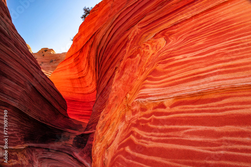 Early morning light on The Wave sandstone formation, Coyote Buttes North, Vermilion Cliffs National Monument, Arizona, USA. photo