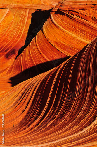 Detail of The Wave sandstone formation at sunrise, Coyote Buttes North, Vermilion Cliffs National Monument, Arizona, USA.