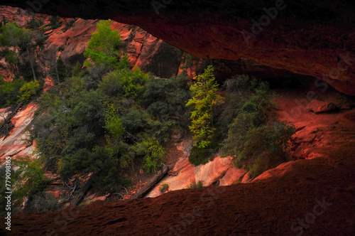 An alcove on the Canyon Overlook trail above the narrow and deep Pine Creek Canyon, Zion National Park, Utah, Southwest USA.