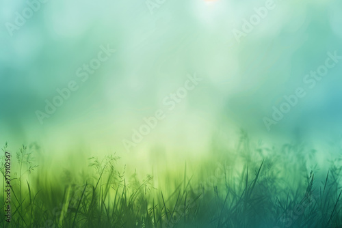 A field of green grass with a blue sky in the background