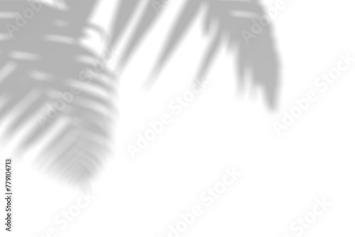 Realistic palm leaf shadow overlay effect isolated on transparent background. Tropical plant leaves blur shadows on a white wall. .White and Black for overlaying a photo or mockup