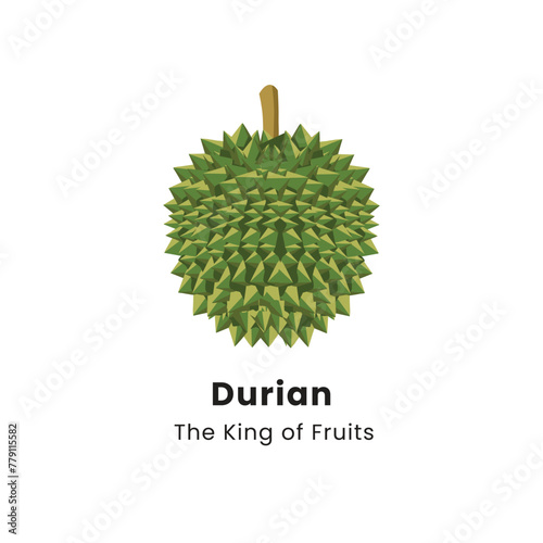 Vector illustration of Durian fruit on white background