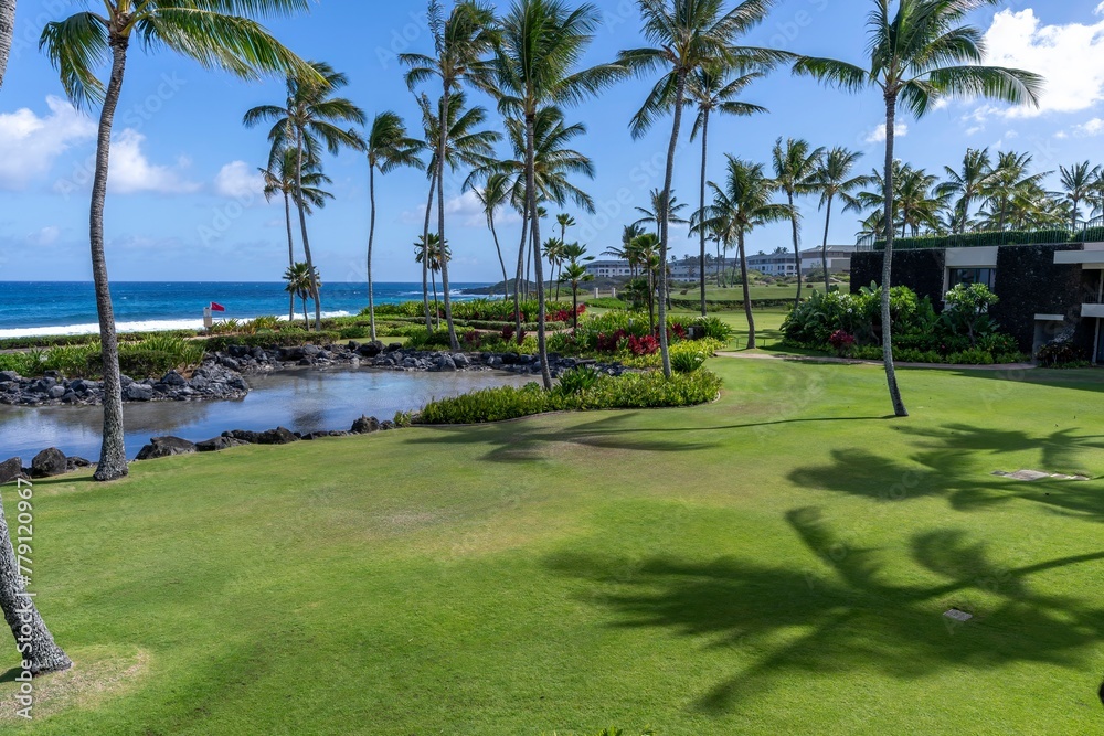 Looking out through the lush palm trees and manicured gardens at Shipwreck Beach in Koloa, Hawaii, USA