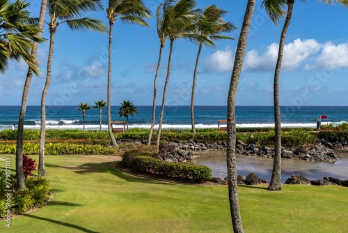 Looking out through the lush palm trees and manicured gardens at Shipwreck Beach in Koloa, Hawaii, USA