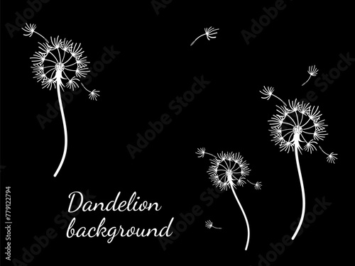Dandelion_background7-50.eps