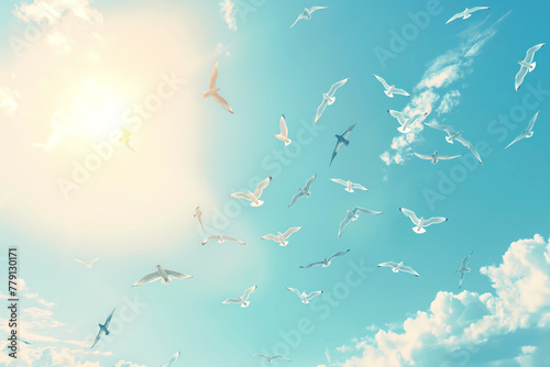 Seagulls flying in the blue sky with sun. Bird background © Nut Cdev