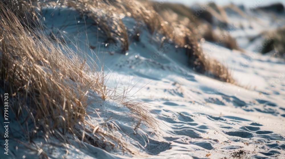 Detailed view of sand and grass on the beach, ideal for nature backgrounds Detailed view of sand and grass on the beach, ideal for nature backgrounds