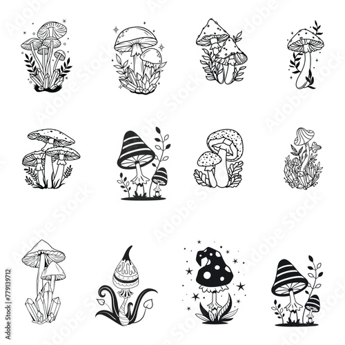 Vector magic set of mushrooms outline.