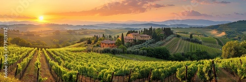 The radiant sun dips below the horizon, casting a warm glow over the vineyard nestled in the hills, creating a stunning silhouette of the vines and the landscape Tuscany, Italy  photo