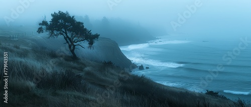  A solitary tree on the cliff's edge, gazing over a foggy body of water
