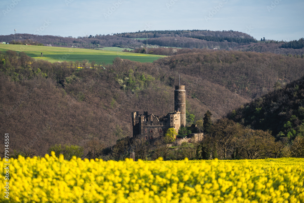 Blick über Rapsfeld in Werlau zur Burg Katz