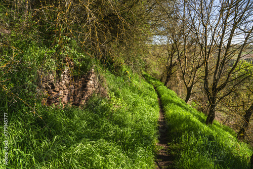 Auf der Schanze mit altem Trockenmauerwerk und Burgenblick, April 2024 photo