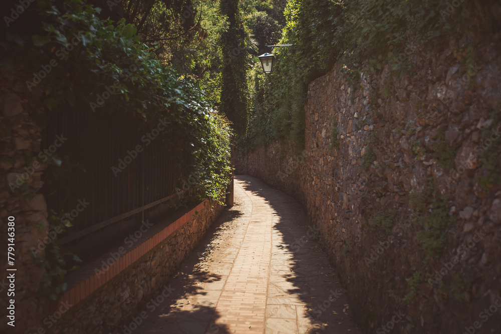 Obraz premium Old and dark alley with stone walls covered with plants in a village in Portofino, Italy. Beautiful green alley . 