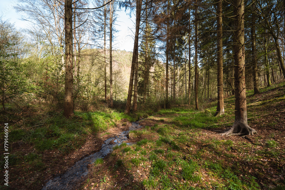 Fototapeta premium Thalbach