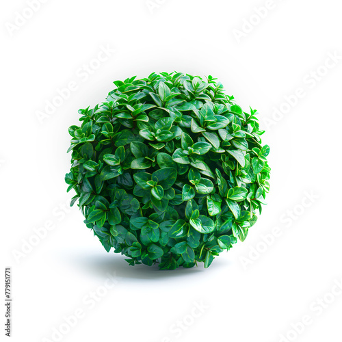 Green Leaves Ball on White Background. Generative AI