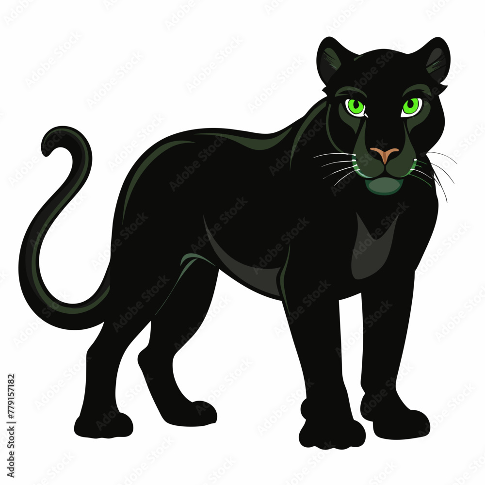 black-panther--animal-of-asia--on-a-white-backgrou