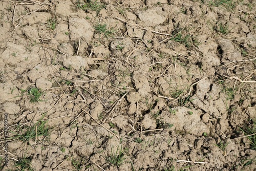 Graubrauner trockener Erdboden mit Rissen bei Sonne am Nachmittag im Frühling