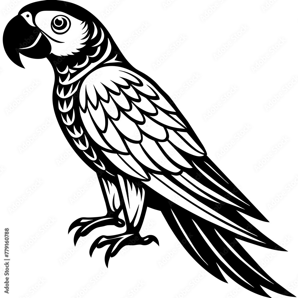 Obraz premium scarlet-macaw silhouette vector illustration svg file