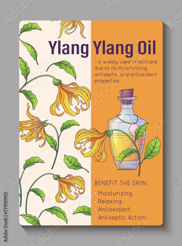 Infographic poster. Vector illustration of glass bottle of Ylang ylang essential oil, pattern with flowers. Information card background design. Cosmetic, perfumery and aromatherapy concept.