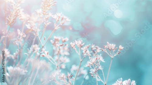 Tranquil Shades: Cultivating Peace with Pastel Blue photo