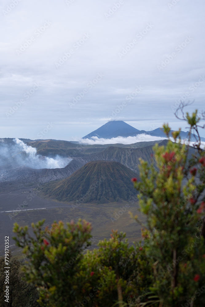 Fototapeta premium The stunning beauty of Mount Bromo which is an active volcano