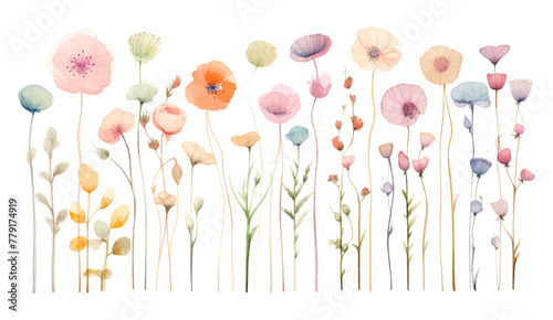 Set of floral branch elements. Watercolor flowers and green leaves. Wedding with floral poster, invite. Vector arrangements for greeting card or wedding invitation design vector illustration