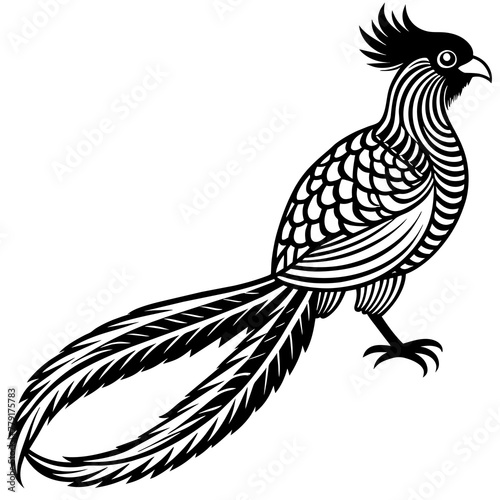 quetzal silhouette vector illustration svg file