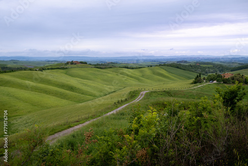 landscape with field and evening light in Tuscany Italy
